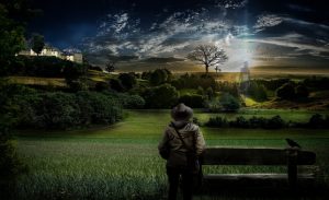 Read more about the article Hindi Shayari – 2020   घर याद आता है मुझे