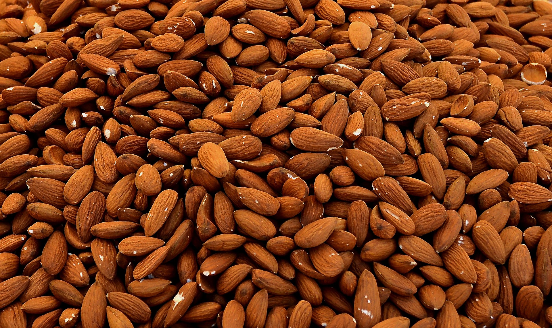 Read more about the article बादाम खाने के फायदे : Benefits to Eat Almonds